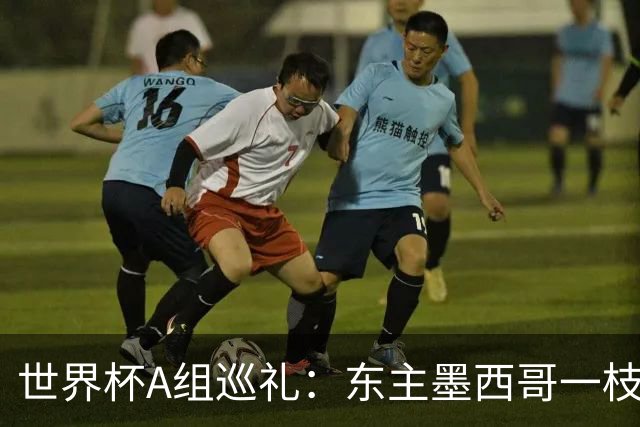 世界杯A组巡礼：东主墨西哥一枝独秀 韩国有望突破历史