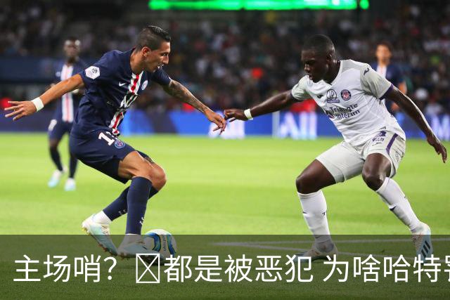 主场哨？🧠都是被恶犯 为啥哈特罚一个 文班罚两个？
