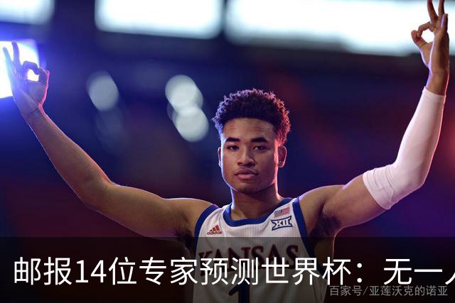 邮报14位专家预测世界杯：无一人看好英格兰队夺冠